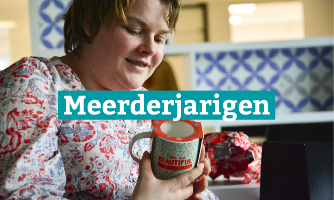 Meerderjarigen