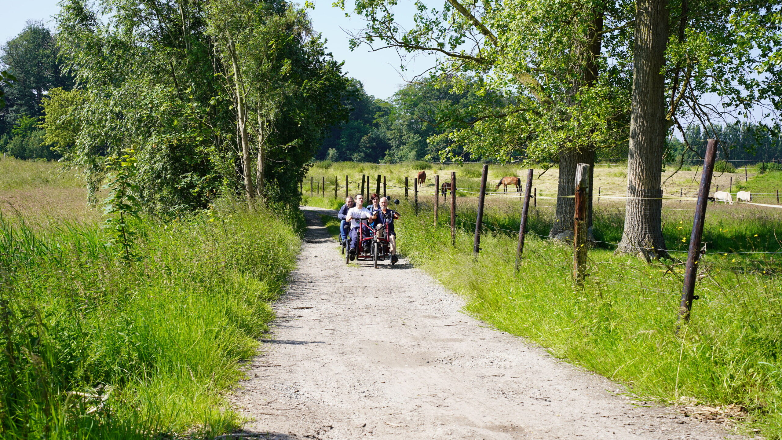 Deelnemers rijden met een duofiets over een landelijk pad tussen groene velden en bomen.
